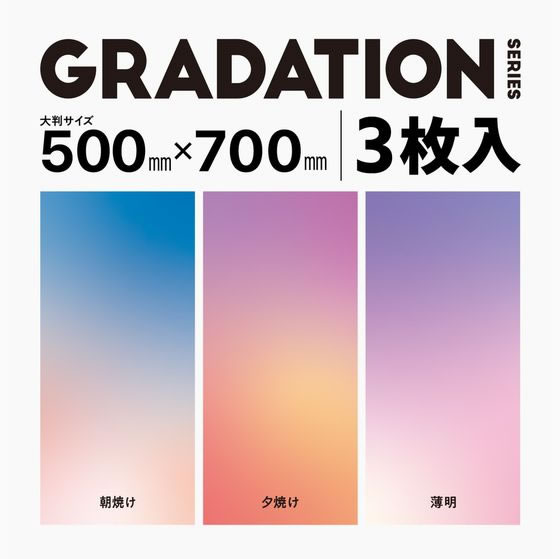 エレコム 撮影用 背景シート グラデーション 大判3枚 DGA-BPBGGD 通販 ...