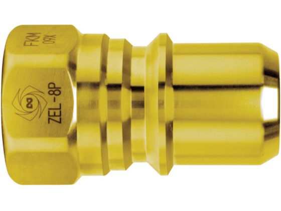  [XsJv 42863 ZEL-8P BRASS FKM
