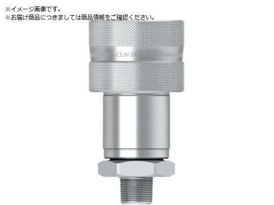 CEJN V[Y232 XN[^CvJbvO Ča6.3mm NPT1 4IlW 10-232-1452