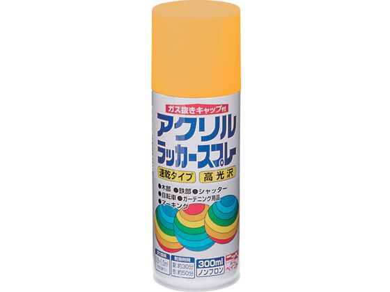 jby ANbJ[Xv[ 300ml CG[ HWE011-300