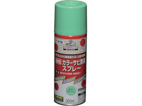ATqy J[TrSpXv[ 300ML CgO[ 533975