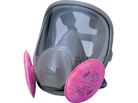 3M ֎h}XN 6000F 2091-RL3