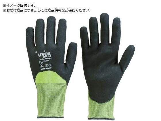 UVEX C500 EFbg XG S 6060067