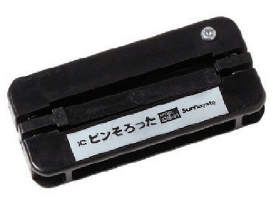 Tng ^b`DIPEIC̃słs ICS-01