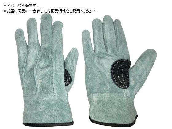 ӂ ICv V Aet M K-495-M