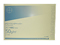 RN i`g[VOy[p[ (n)A1 100 Z-T56N