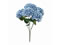   ~nChWAubV BLUE
