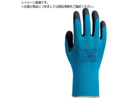 g VRSw WithGardent[ ANAu[ 8 M