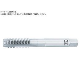 OSG �|�C���g�^�b�v HR�R�[�e�B���O Ni��ϔM�����p ���[�g���˂��p M6 �s�b�`1mm �˂�����24mm 3901219 WHR-NI-POT-STD-M6X1 3901219