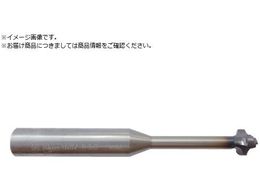 �E�H�[�^�[�~���Y ��������R�`�����t�@�[�~���YR0.3 2.3Dx60 TiAlCN WMRC03023L09R03