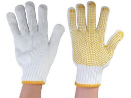 ۘaP~J pׂ~5oamp 1005