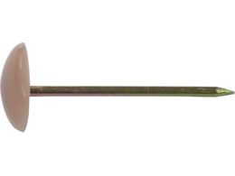 DAIDOHANT HP ~e sN 16{ 10183197