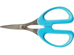 ALLEX Xg[}PApnT~ 18317