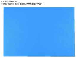 SCS ÓdCgUo[}bg  1M X 5M 1891 1X5