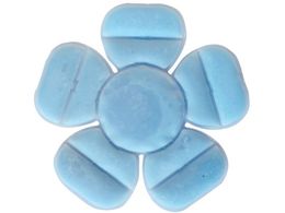 ~YPC ACXwbhpbhuԁv 5501910