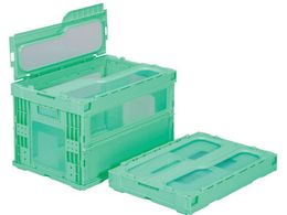 TR[ t^̌^܂肽݃Rei[ 559490 }hR