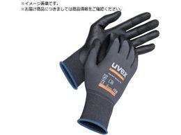 UVEX jgw AXeBbN I[Eh XS 6002866