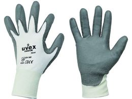 UVEX jhDA 6641 TCY L 6021069