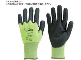 UVEX C500 EFbg M 6049268