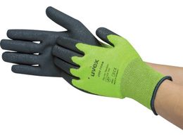 UVEX C500 tH[ S 6049467