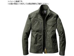 BURTLE WPbg jZbNX 6201-14-S ~XO[6201-14-S