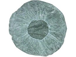 O[NX pbgJo[ St 6300003706