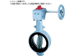 �b 700G-2U JIS10K FCD450 SCS14 NBR 65A700G-2U-65-S-N