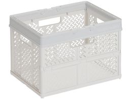 TENMA ܂肽݃oXPbg nhtS 811000810