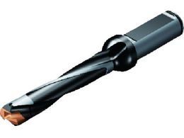 SANDVIK Rh870 wbhh 446 na10.00mm a54.07mm S117mm VNa16mm870-1000-6L16-5 446