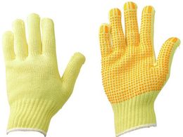 Ԕ ϐؑn Pu[ R Ҏ 7G-PAKV7G-P