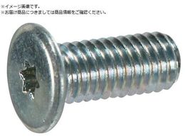 TRUSCO �w�b�N�X���[�u���ɒᓪ�˂� �O���N�����[�g M3�~10 50�{��B182-0310