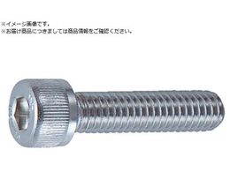 TRUSCO �Z�p���t�{���g �X�e�����X �S�l�W M2.5�~10 24�{�� �L���b�v�{���g CAP B44-2510