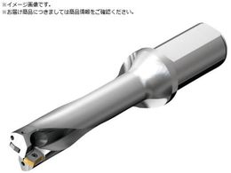 SANDVIK RhDS20nh 465 DS20-D4000L40-04 465