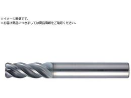 MOLDINO ���d���W�A�X�G���h�~�� �G�|�b�NSUS�}���` EPSM4030-R0.5-PN EPSM4030-R0.5-PN