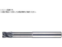 MOLDINO �G�|�b�NSUS�E�F�[�u EPSW4110-55-PN EPSW4110-55-PN