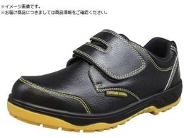 ���R�S�� �L���v�e���v���Z�t�e�B�[211 �u���b�N 25.0