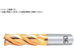 OSG TiN�R�[�g���t�B���O�~�f�B�A�� �t�@�C���r�b�` �n��:6 �n�a30mm 88480 EX-TIN-RENF-30 88480