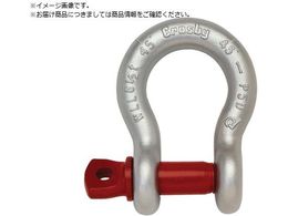 Crosby VbN ˂݁EoE 6.5t G209-22