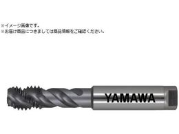 ���}�� �������p�A���~�ޗp�X�p�C�����^�b�v HFAHS P4 M14X1.5 HFAHS-M14X1.5