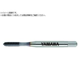 ���}�� �n�C�p�t�H�[�}���X���[���^�b�v HP+RZ G6 M3.5X0.6 B HP+RZ-G6-M3.5X0.6-B