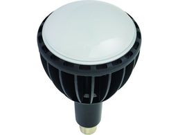 NICHIDO LED GRrbN100W E39 F Ch L100W-E39J-WBK-50K